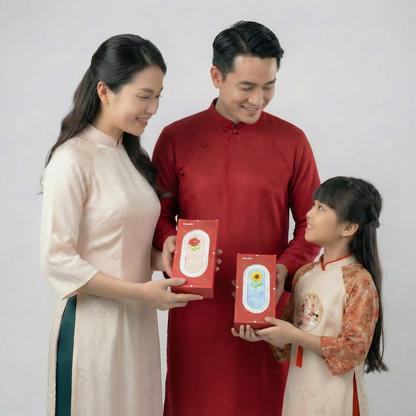 Hộp khăn lẻ